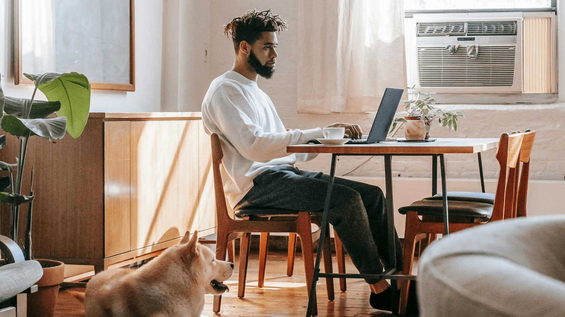 6 Myths Hurting Your Pet Sitting Business