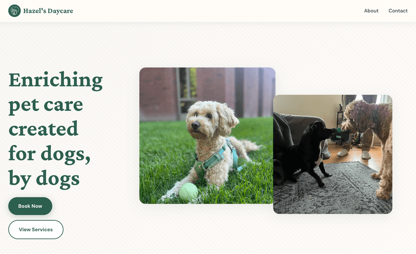 Pet sitting website using Professional template