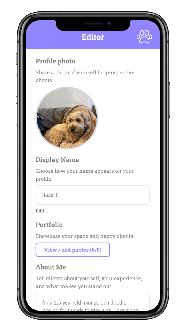 Editor interface showing profile setup