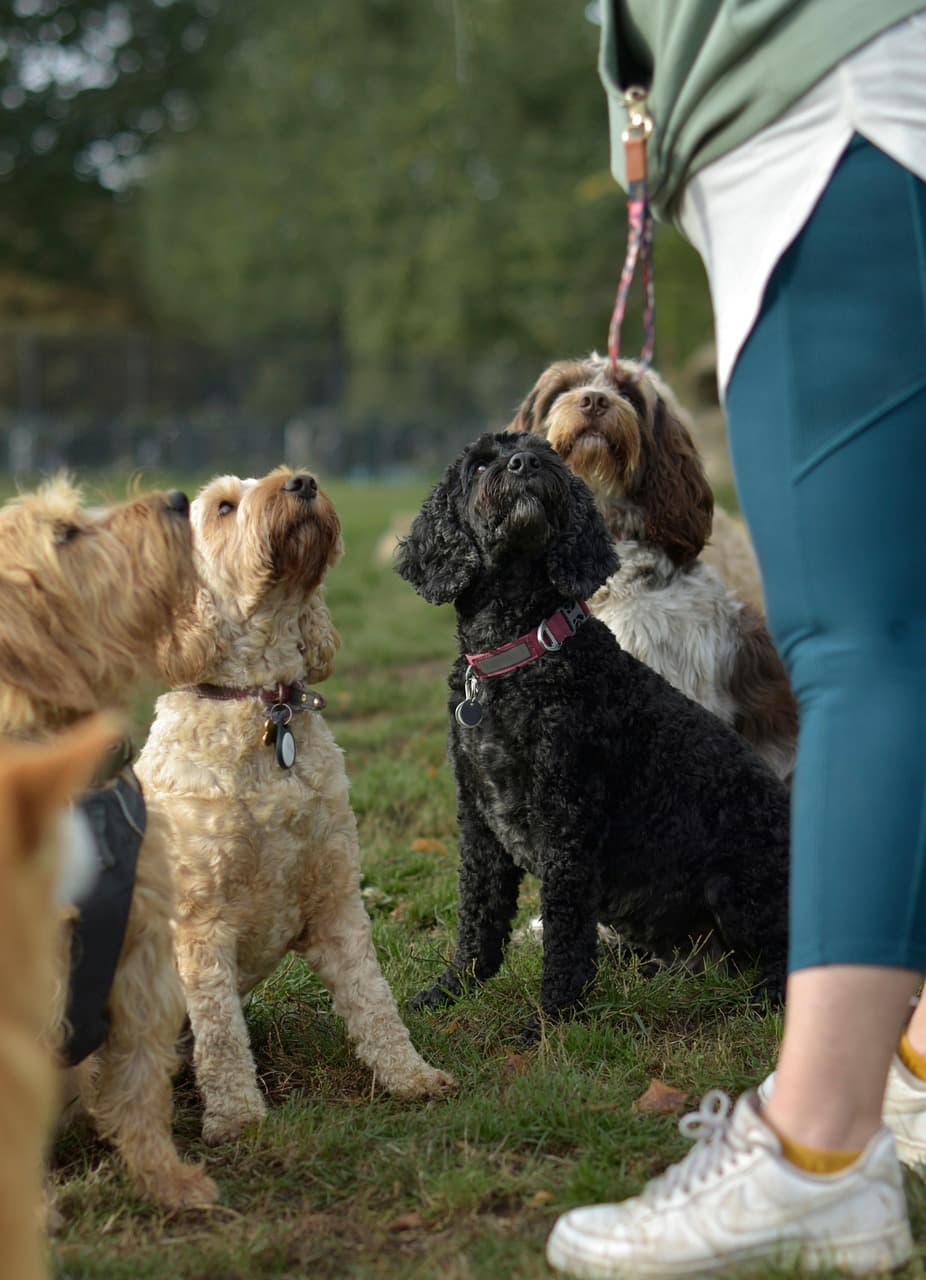 Day to day activities