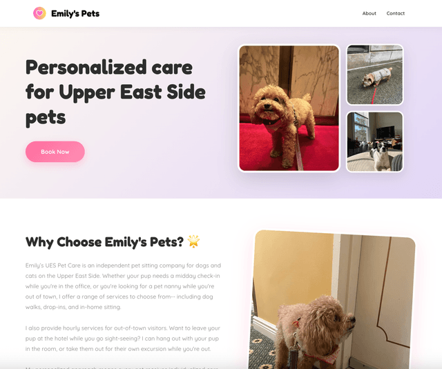 Pets Friendz published website preview